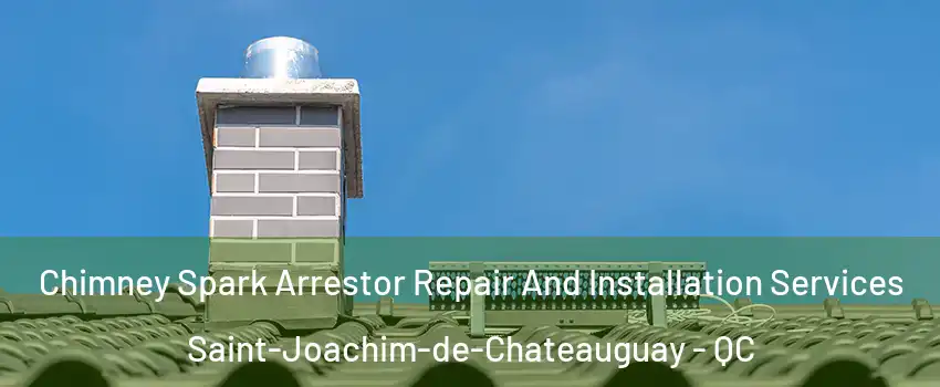  Chimney Spark Arrestor Repair And Installation Services Saint-Joachim-de-Chateauguay - QC