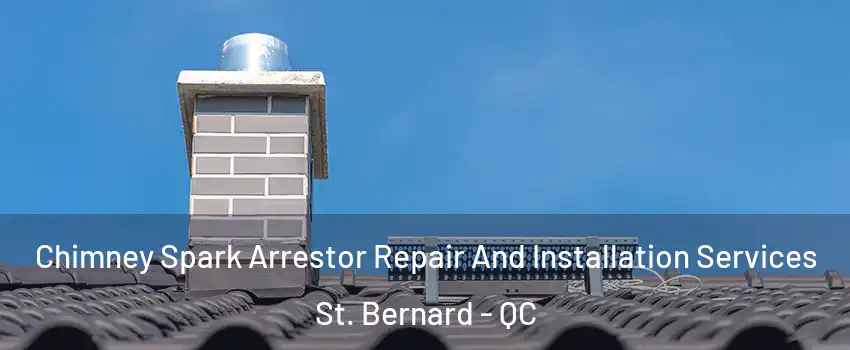  Chimney Spark Arrestor Repair And Installation Services St. Bernard - QC