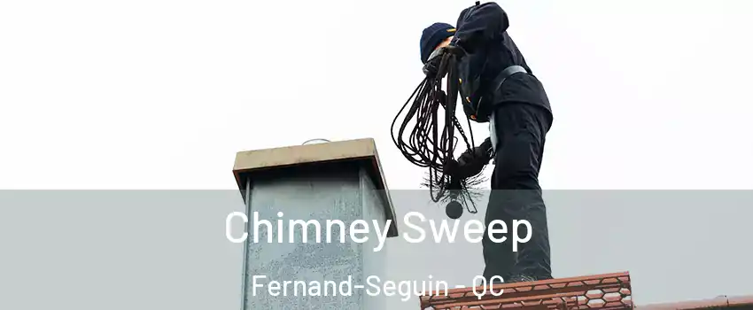  Chimney Sweep Fernand-Seguin - QC