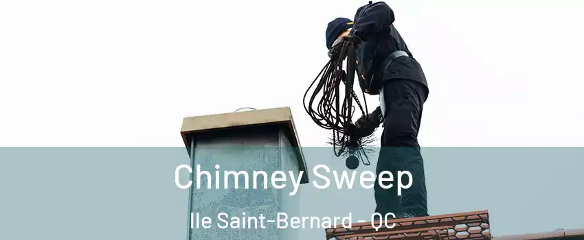  Chimney Sweep lle Saint-Bernard - QC
