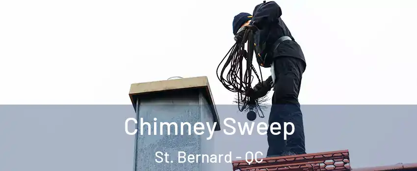  Chimney Sweep St. Bernard - QC