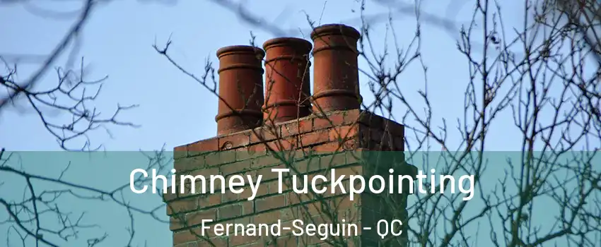  Chimney Tuckpointing Fernand-Seguin - QC