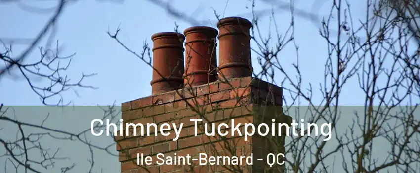  Chimney Tuckpointing lle Saint-Bernard - QC