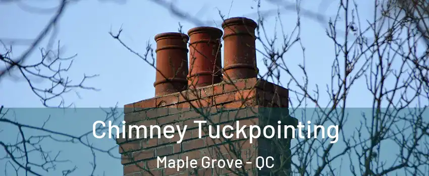  Chimney Tuckpointing Maple Grove - QC