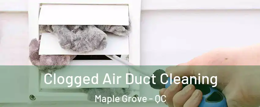  Clogged Air Duct Cleaning Maple Grove - QC