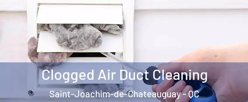  Clogged Air Duct Cleaning Saint-Joachim-de-Chateauguay - QC