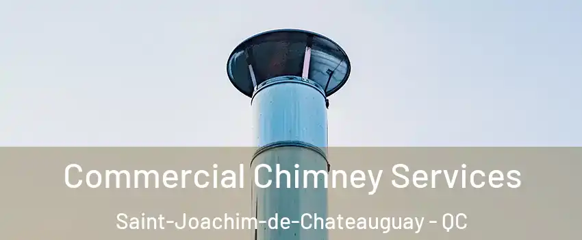  Commercial Chimney Services Saint-Joachim-de-Chateauguay - QC