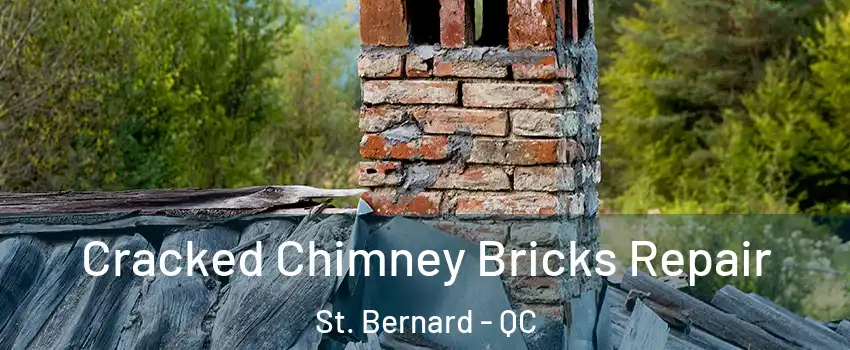  Cracked Chimney Bricks Repair St. Bernard - QC