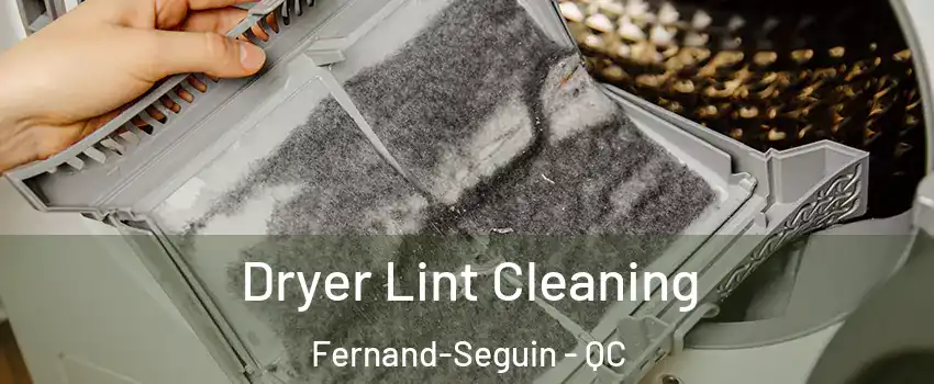  Dryer Lint Cleaning Fernand-Seguin - QC