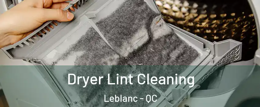  Dryer Lint Cleaning Leblanc - QC