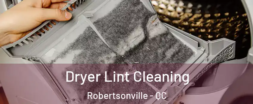  Dryer Lint Cleaning Robertsonville - QC