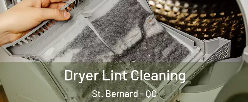  Dryer Lint Cleaning St. Bernard - QC