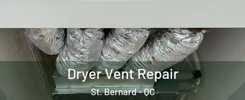  Dryer Vent Repair St. Bernard - QC