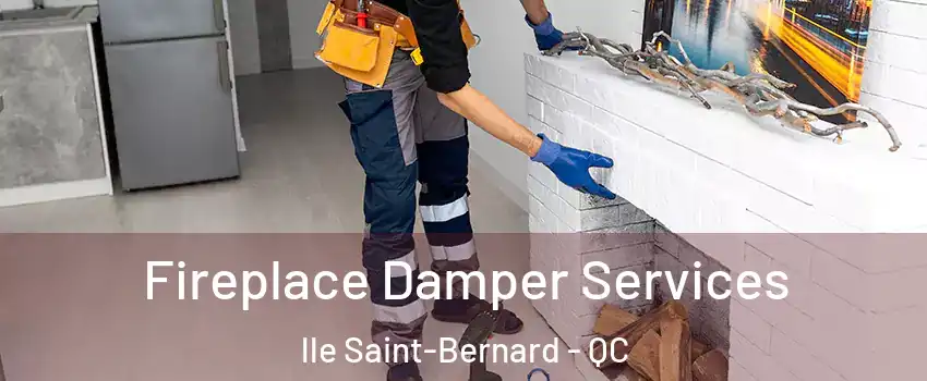 Fireplace Damper Services lle Saint-Bernard - QC