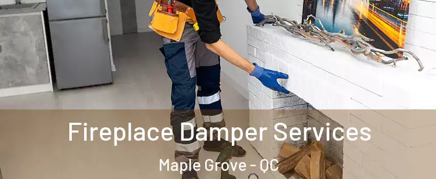  Fireplace Damper Services Maple Grove - QC