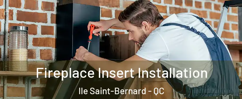  Fireplace Insert Installation lle Saint-Bernard - QC