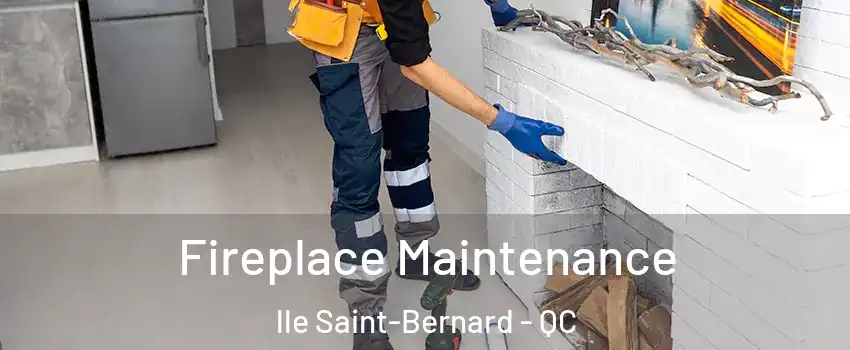  Fireplace Maintenance lle Saint-Bernard - QC