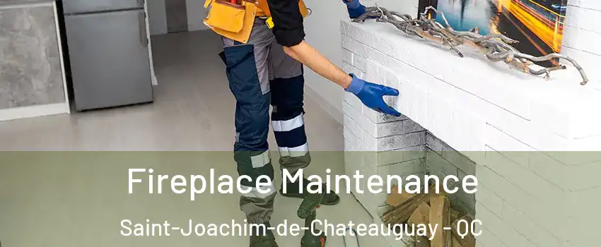  Fireplace Maintenance Saint-Joachim-de-Chateauguay - QC