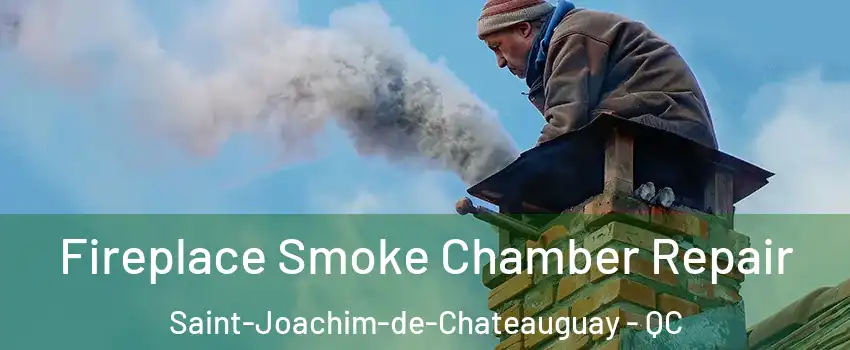  Fireplace Smoke Chamber Repair Saint-Joachim-de-Chateauguay - QC