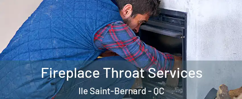  Fireplace Throat Services lle Saint-Bernard - QC