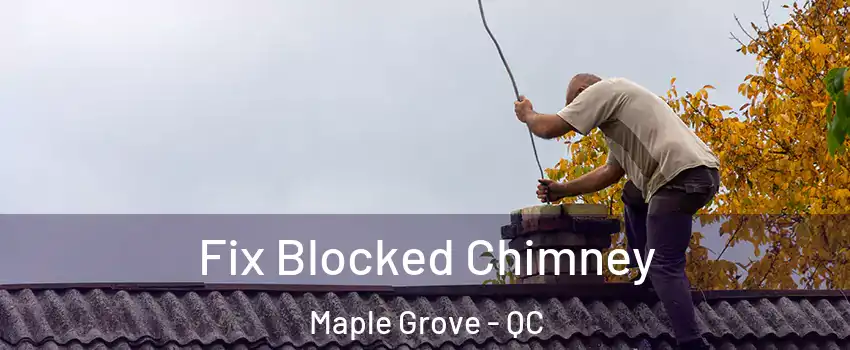  Fix Blocked Chimney Maple Grove - QC