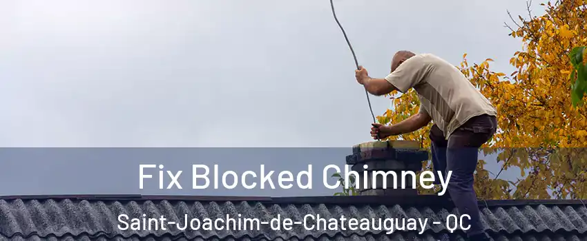  Fix Blocked Chimney Saint-Joachim-de-Chateauguay - QC
