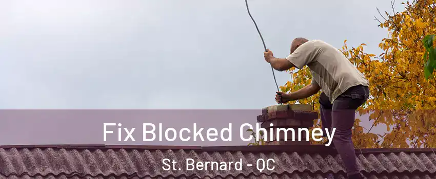  Fix Blocked Chimney St. Bernard - QC