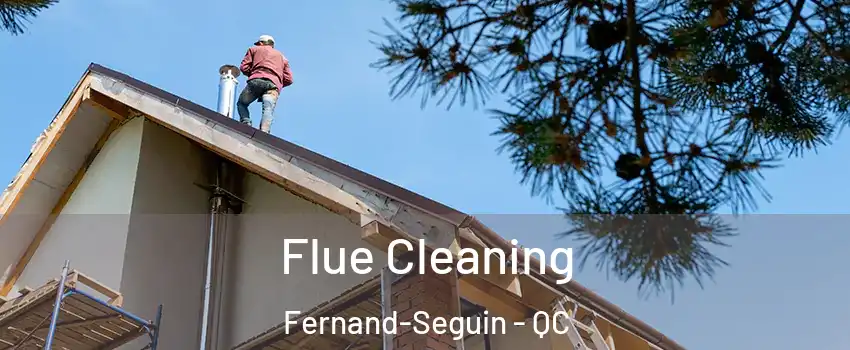  Flue Cleaning Fernand-Seguin - QC