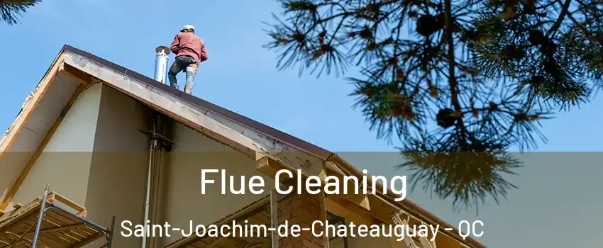  Flue Cleaning Saint-Joachim-de-Chateauguay - QC