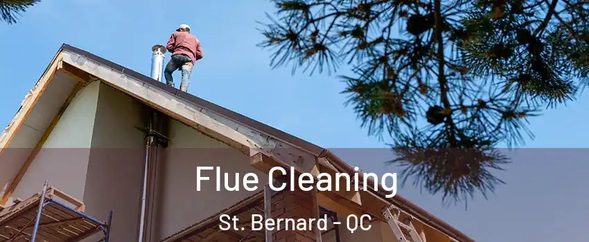  Flue Cleaning St. Bernard - QC