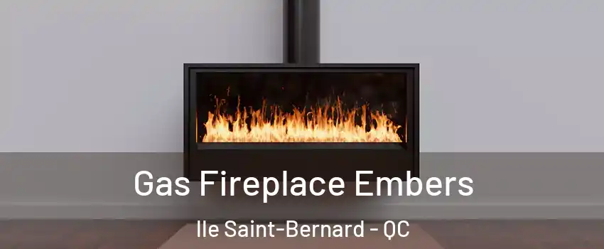  Gas Fireplace Embers lle Saint-Bernard - QC
