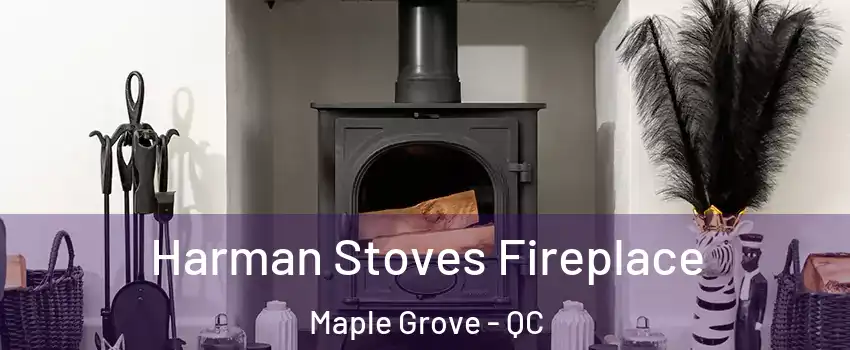  Harman Stoves Fireplace Maple Grove - QC