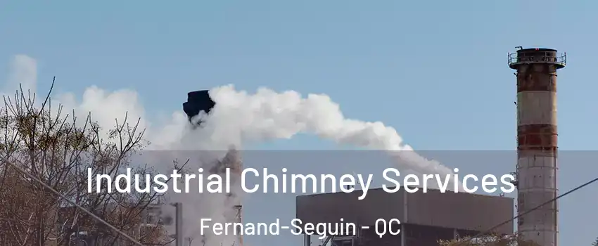  Industrial Chimney Services Fernand-Seguin - QC