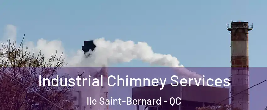  Industrial Chimney Services lle Saint-Bernard - QC