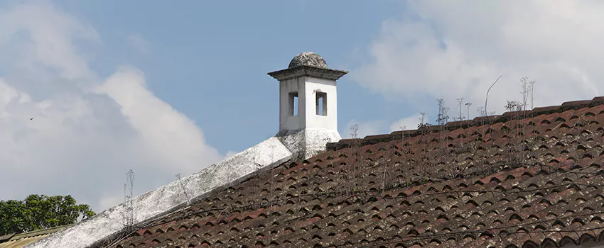 Wind-Resistant Chimney Caps Installation and Repair Services in St. Bernard, Quebec