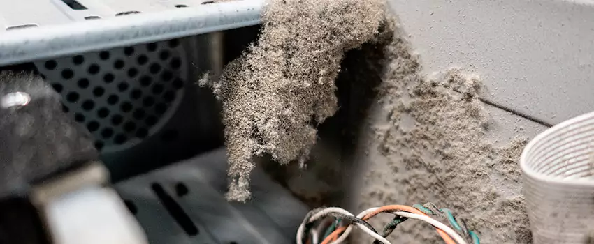 Clogged Dryer Vent Lint Cleaning in St. Bernard, Quebec