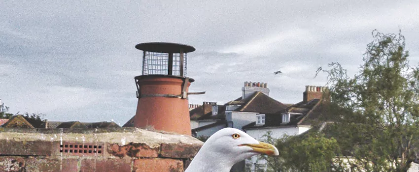Chimney Cap Bird Guard Repair in St. Bernard, Quebec