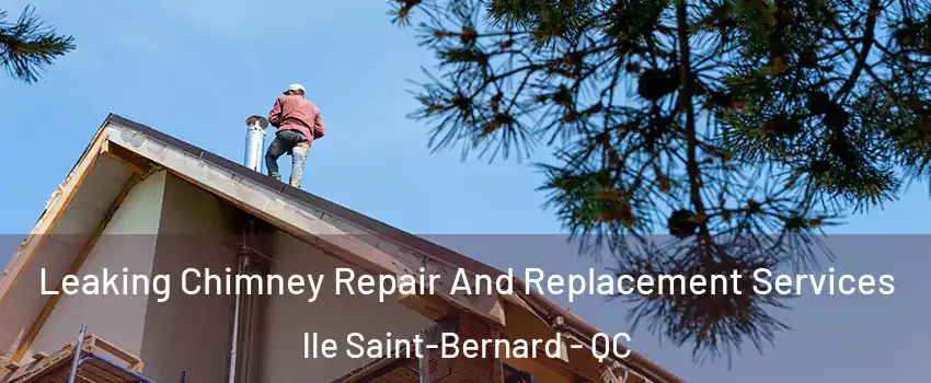  Leaking Chimney Repair And Replacement Services lle Saint-Bernard - QC