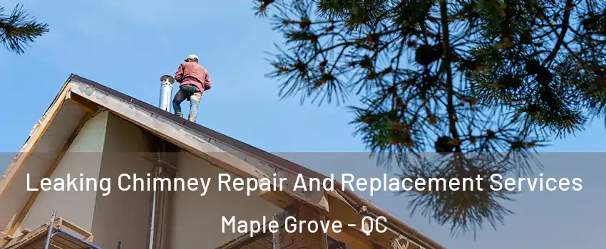  Leaking Chimney Repair And Replacement Services Maple Grove - QC