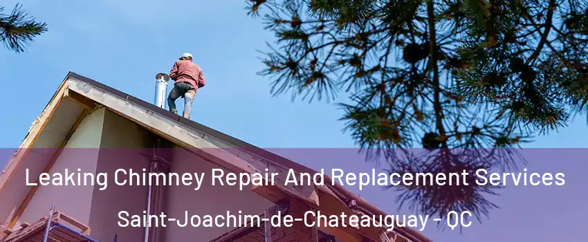  Leaking Chimney Repair And Replacement Services Saint-Joachim-de-Chateauguay - QC