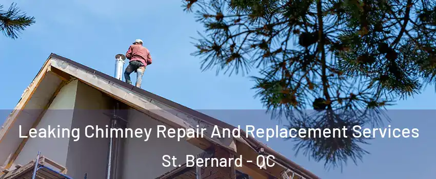  Leaking Chimney Repair And Replacement Services St. Bernard - QC