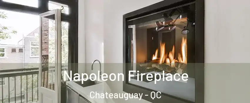  Napoleon Fireplace Chateauguay - QC