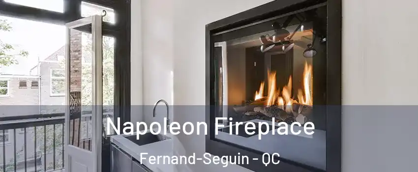  Napoleon Fireplace Fernand-Seguin - QC