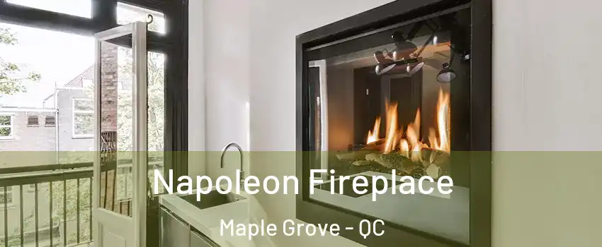  Napoleon Fireplace Maple Grove - QC