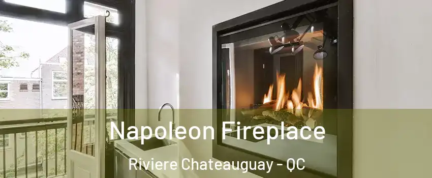  Napoleon Fireplace Riviere Chateauguay - QC