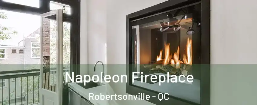  Napoleon Fireplace Robertsonville - QC