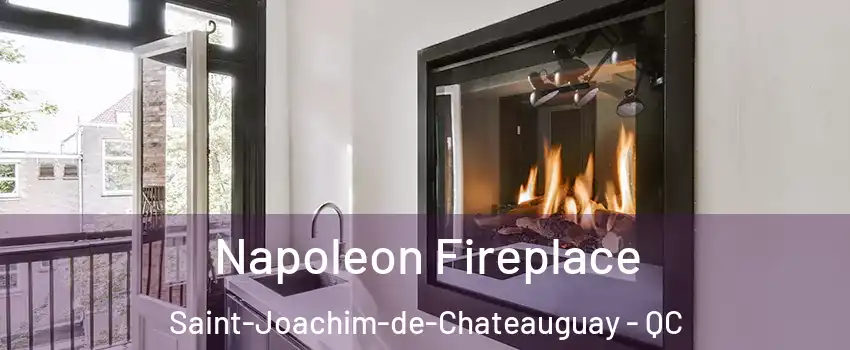  Napoleon Fireplace Saint-Joachim-de-Chateauguay - QC