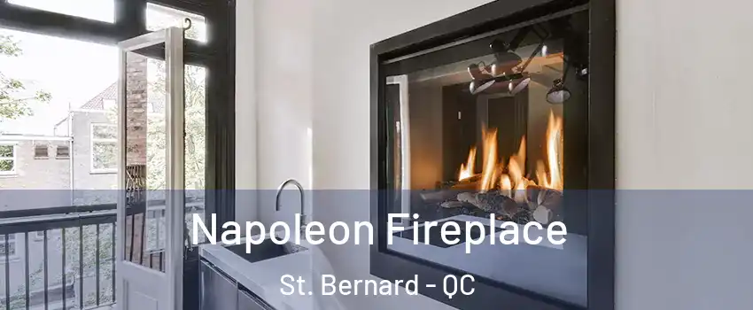  Napoleon Fireplace St. Bernard - QC