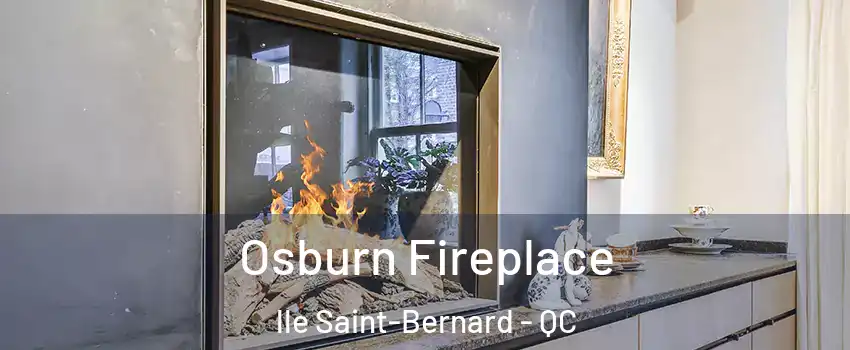  Osburn Fireplace lle Saint-Bernard - QC