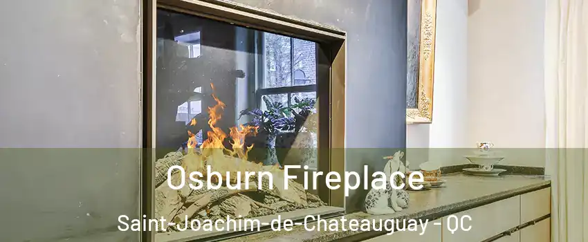  Osburn Fireplace Saint-Joachim-de-Chateauguay - QC